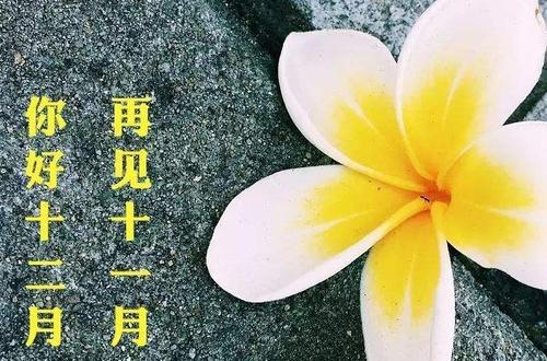 你好，十二月（银装素裹）
