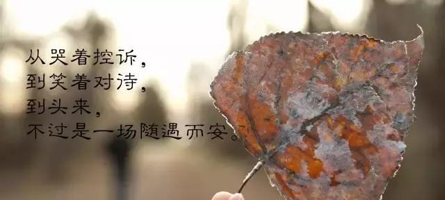 岁月流转，唯美感悟（以短句唤醒心灵）