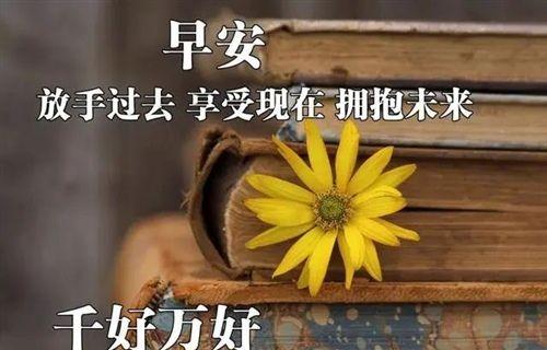 2024，我们的温暖之年（疫情下的善良行动）