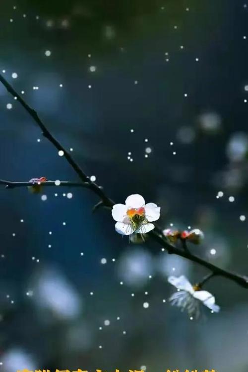 春雪的唯美诗句大全（一场春雪）