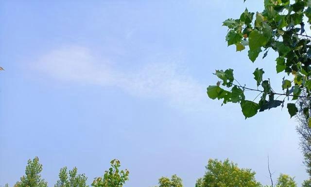 《晨曦的唯美诗句》