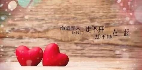 营造唯美人生（营造唯美人生）