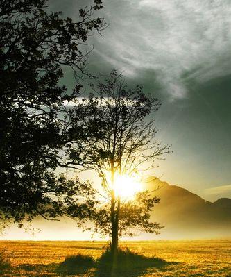 金色余晖下的夕阳美景（唯美短句勾勒出的自然景观）