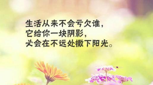 在晨曦中寻找内心的力量（在晨曦中寻找内心的力量）