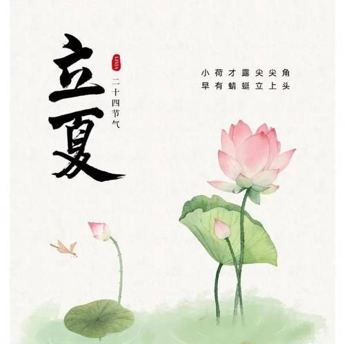 立夏这个节气的作文怎么写？（《立夏之际：青春的萌动与成长》）