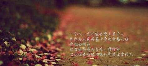 志愿者的美好时光