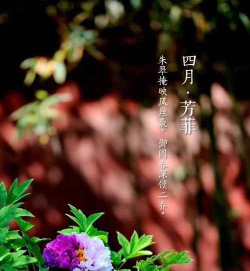 故宫，璀璨宫廷遗产的美丽绽放（故宫）