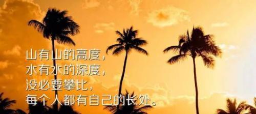 自我实现的美丽征程