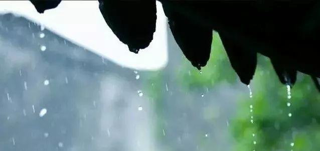 雨中感悟，夜色迷人（雨中感悟）