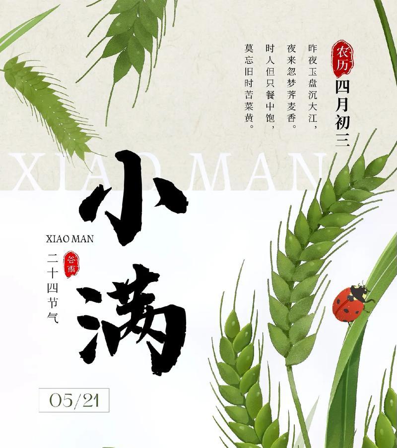 小满节气手工制作文案作文怎么写？（《节气小满的童趣手工记》）