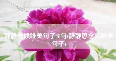 描写远方好友的唯美短句（描写远方好友的唯美短句）