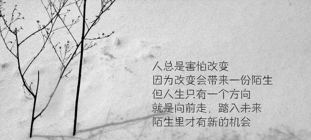 善良的唯美句子经典语录（用善良的心灵演绎唯美的人生）