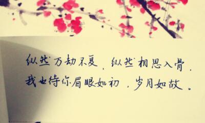 静谧间，心灵纯净（静谧间）