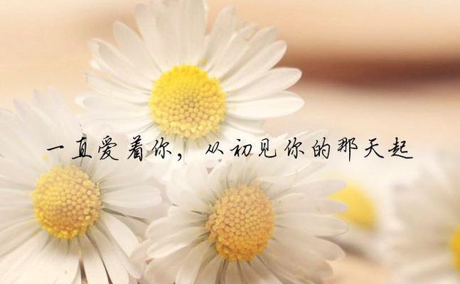 浅唱温暖，深蕴感动（用唯美的语言）