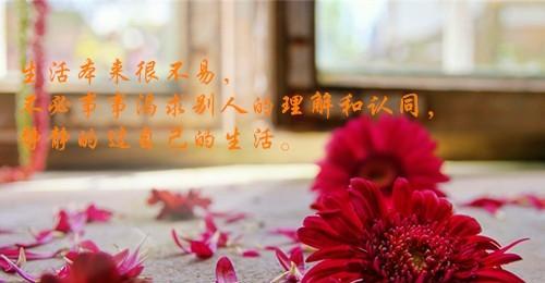 珍惜生命，珍爱每一个瞬间（唯美句子唤醒人们内心深处的珍爱）