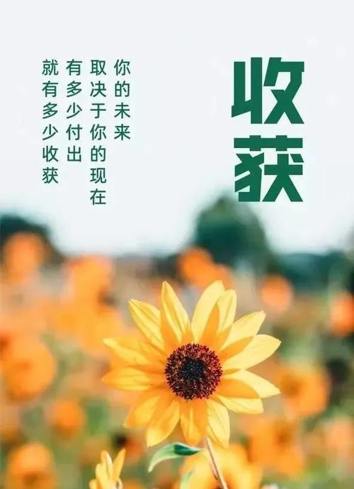 唯爱自己，方能珍爱他人（25个唯美句子教你如何爱自己）