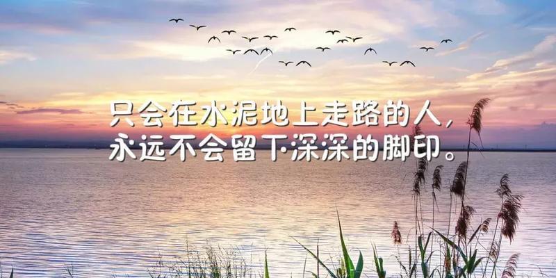 奋斗的人生（感悟人生）