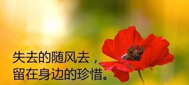 岁月流转，感悟生命之美（岁月流转）