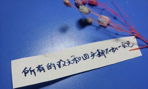用心记录，感悟人生（用心记录）