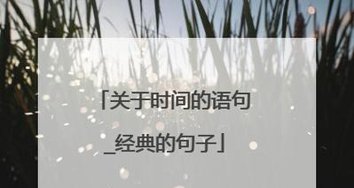 甜言蜜语——爱情的诉说