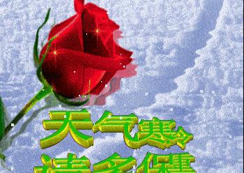 天冷了，你是否关心过（唯美句子带你感受冬日的温暖）