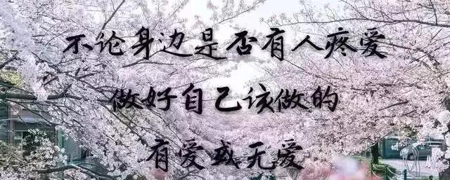 突然的心酸，被唯美所包围（突然的心酸）