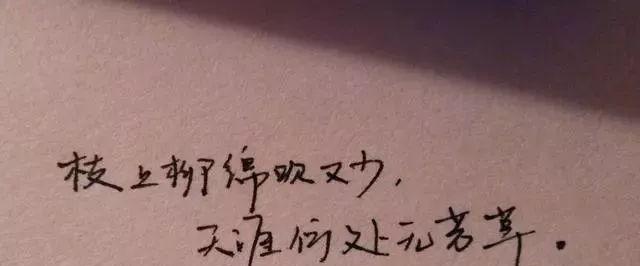 诠释生活的美好与趣味（诠释生活的美好与趣味）