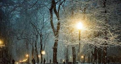 细雪飘落，唯美雪景（雪中静观）