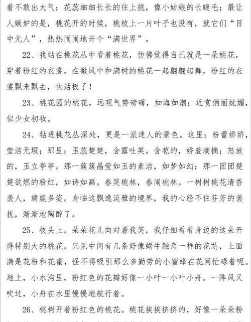 桃花如诗如画（春之美）