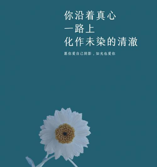 细数内心的追求（细数内心的追求）
