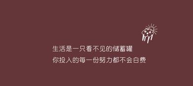 探寻学习的美丽与迷人之处（探寻学习的美丽与迷人之处）