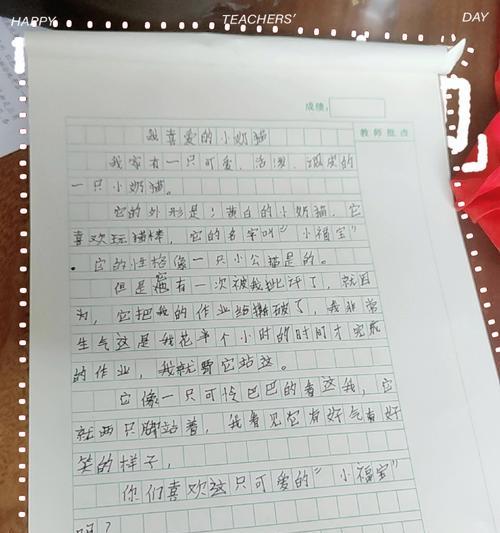 小满大满是什么意思（《小满的微笑：大脸猫与高中学生的温暖故事》）