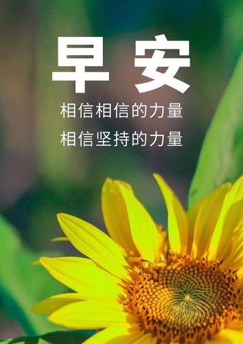 绽放正能量，感受唯美生命（传递爱与希望）