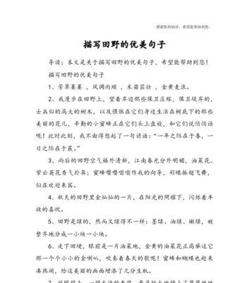 唯美句子集锦（用美丽的语言）