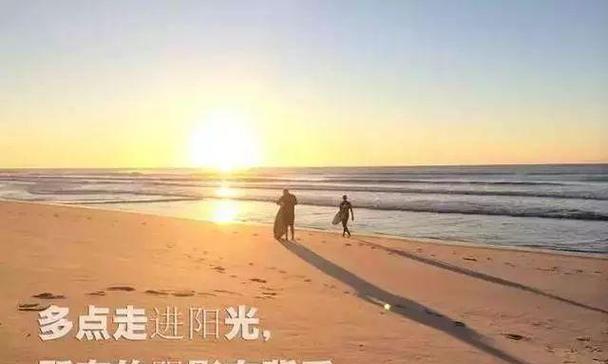 追寻理想的唯美之路（探寻心灵的奇妙世界）