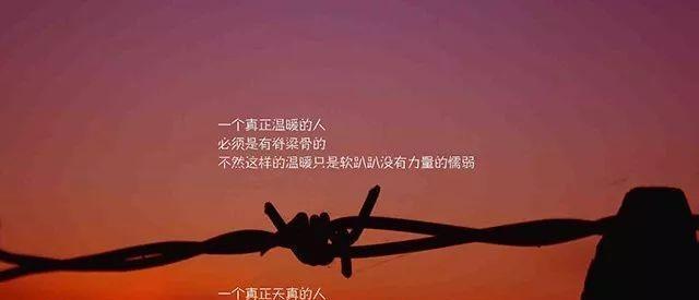 唯美心情，励志成长（用短句）