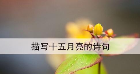 月亮下的心灵旅程（洁白如霜的月亮）