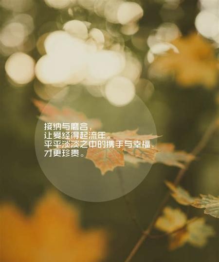 伤感唯美，用心感受（25个句子）