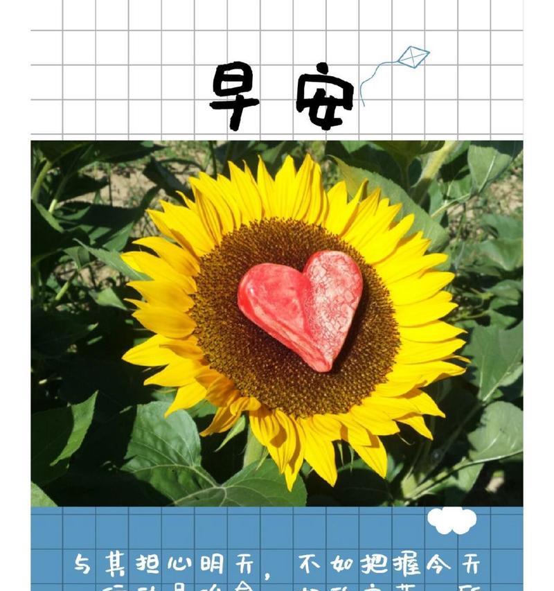 《温暖治愈，爱满全球》