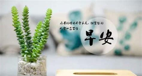 用句子温暖你的心灵（用句子温暖你的心灵）