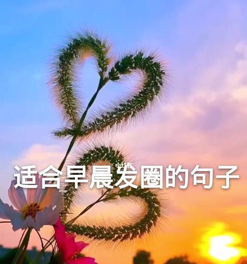 用心去感受，发现生命中的诗意（用心去感受）