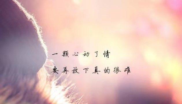 流年深处的伤感（唯美的瞬间）