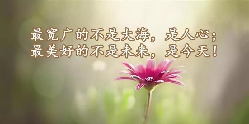 心灵之美，生活之道（25句感悟生活的经典语录）