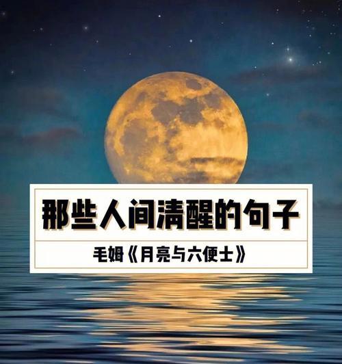 用清醒的视角感受唯美的现实（用清醒的视角感受唯美的现实）
