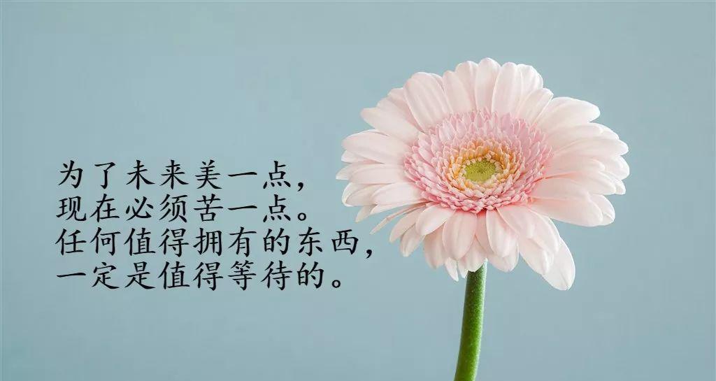 分享美好，送上早安祝福