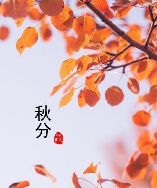 秋分节气祝福：迎接金秋的美好