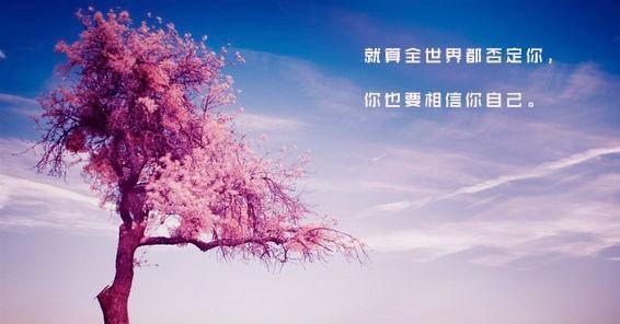 阳光照耀心间的治愈之旅（唯美句子引领心灵重生）