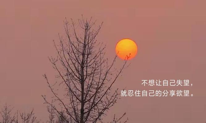 清醒晨曦：唯美句子漫步