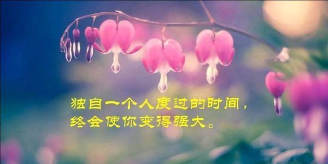自由的朋友圈——放飞心灵（在这里）