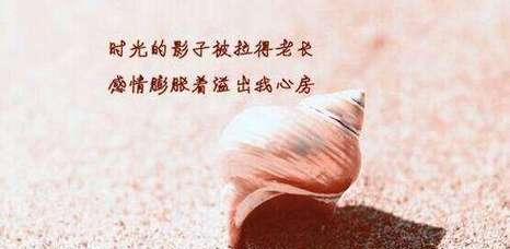 心灵深处的宣泄（用唯美语言倾诉情绪）